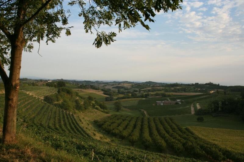 فيلا مونكالفوفي La Quercia Rossa المظهر الخارجي الصورة