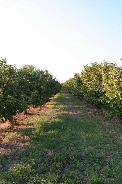 فيلا مونكالفوفي La Quercia Rossa المظهر الخارجي الصورة