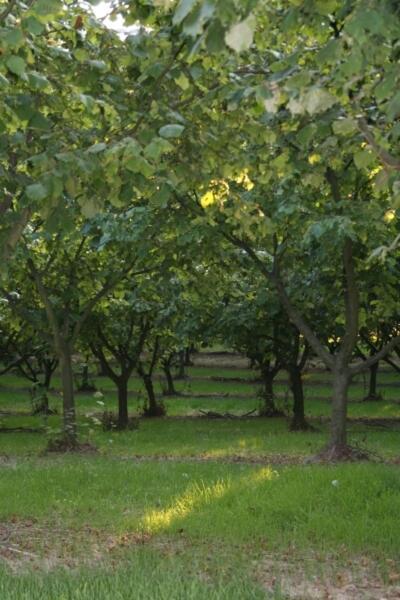 فيلا مونكالفوفي La Quercia Rossa المظهر الخارجي الصورة